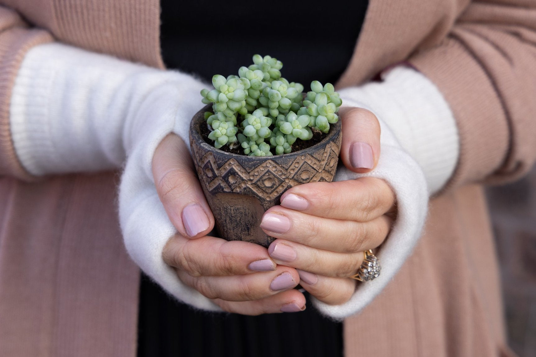 Fingerless Gloves